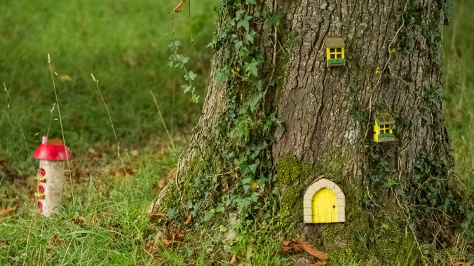 Miniature door and windows in the base of a tree